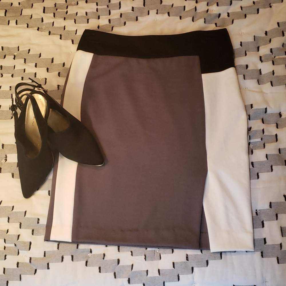 NWOT Darjoni Pencil Skirt Size 4